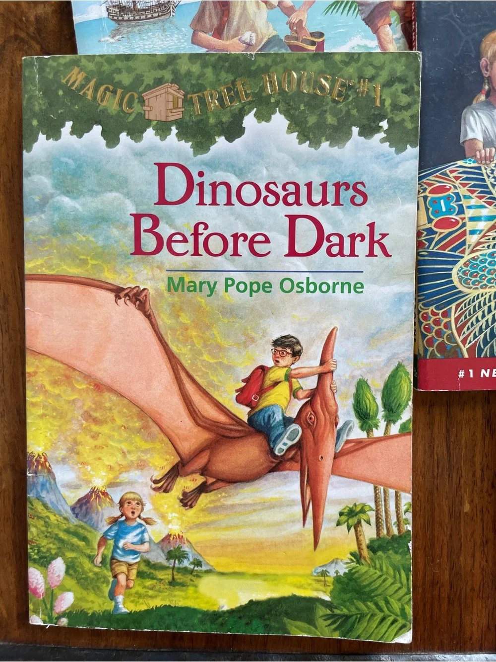 Mary Pope Osborne Magic Tree House Kids Book Set of 6 - Gently used